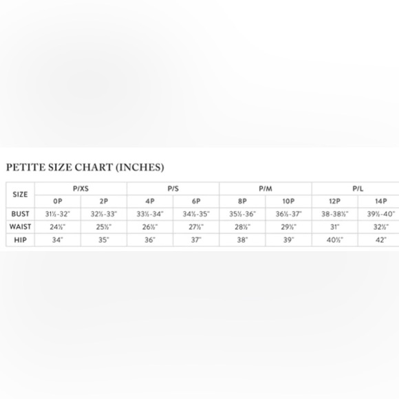 Donna Morgan Berry & Black Meadow Midi Dress Size 8P (12UK) NWT - Picture 17 of 17